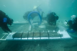 Održan 25. seminar Ronilačkog saveza Istarske županije