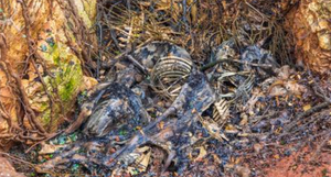 Ekološke hulje uništavaju Istru - otkrivene jame pune životinjskih lešina!