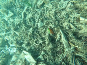 Ovako izgleda podmorje splitske plaže s debelim slojem vlažnih maramica!