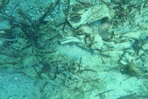 FOTO/VIDEO Ronioci dno splitske plaže 'oslobađali' od debelog sloja vlažnih maramica