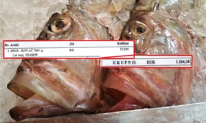 Tvrtka čije je skupe kovače zadarska ekipa nosila i jela u njujorškom restoranu: "To se ne može usporediti s uvoznim!"