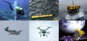 Zaštićena morska područja imaju ključnu ulogu u očuvanju morskog ekosustava