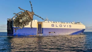 ZBOG SMRDLJIVIH MARTINA Australija vratila brod koji je prevozio Tesline automobile