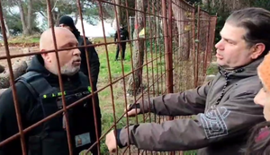 VIDEO Ekocid u Puli?! Građani prosvjeduju zbog ilegalnog rušenja stabala - rušenje štite naoružani zaštitari!