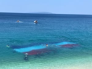 NAJTROFEJNIJI REPREZENTATIVCI NASTUPAT ĆE POD DRUGOM ZASTAVOM? Zbog malverzacija u ronilačkom savezu razmišljaju o najgoroj opciji
