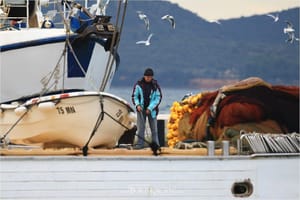 PANEL RASPRAVA eFISHent i održivi ribolov