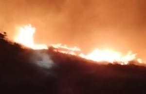 VIDEO Lokaliziran požar kod Jadrtovca