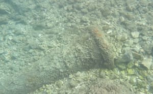 Slučajno otkriće ronioca ispod zadarske rive - Ugledali je tijekom radova: "Dijelom bila ukopana u nasip na dubini 5 do 6m"