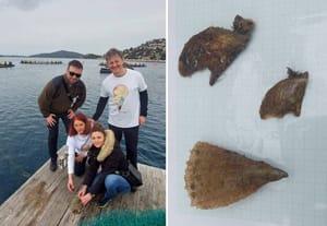 U potrazi za plemenitom periskom, stručnjaci u Tribunju otkrili invazivnu vrstu!