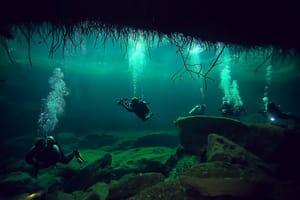 U morskim dubinama pronađeno tajanstveno stvorenje