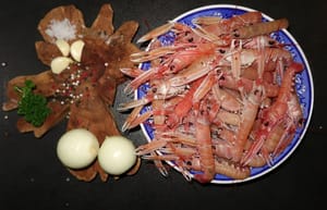 ZEMLJA GURMANIJA Škampi