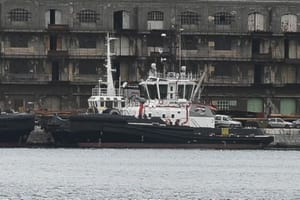 Novo pojačanje u floti Jadranskog pomorskog servisa