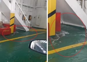 More se u trajektu iz Pelješca prema Mljetu prelijeva u brod: "Kad je jače jugo, kao da ste u koritu rijeke!"