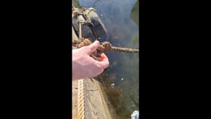 Morski mlaz "napao" splitske učenike