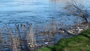 ALARM ZA UZBUNU Neretva iz Hercegovine u more donosi gomile smeća!