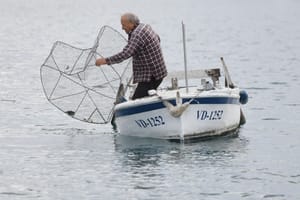 Jutarnji ribolov i vađenje vrša u Tribunju