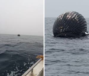 Šokirani ribari ugledali veliku crnu kuglu na površini mora: "Kad smo shvatili da će eksplodirati, pobjegli smo!"