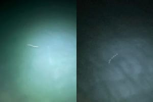 Što li je ovo snimljeno u moru kod Umaga?