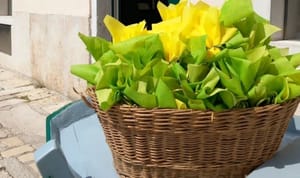 Uskrsna rapsodija Ekomuzeja "Batana"