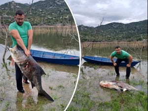 ZVIJER S BAĆINSKIH JEZERA Ulovio ribu jaku doslovno kao bik!