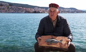 Umirovljeni šibenski stolar i pomorac izrađuje ribe u drvu