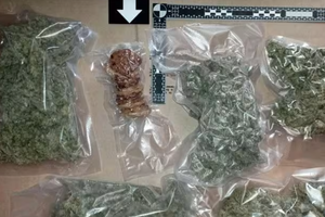 "Vesela ekipa" iz Umaga -prevozili marihuanu i kekse s marihuanom