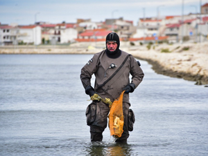 Uspješna akcija čišćenja podmorja na Pagu!
