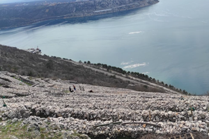 Radionica obnove bakarskih prezida - druga sreća!