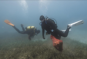 Čistim Mljet za bolji svijet!