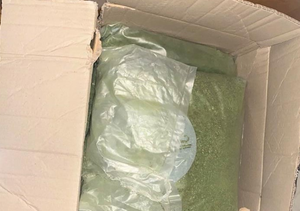 Uhićeno je čak sedam Riječana koji su prodavali drogu i skrivali je - u vrtu!