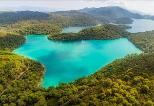 Eko aktivnosti na Mljetu povodom dana biološke raznolikosti!