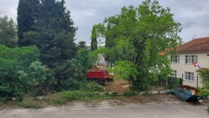 Nemilosrdna sječa stabala na prostorima pod upravom Zadarske županije