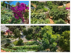 Natječaj za najljepšu okućnicu na otoku Mljetu