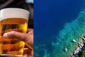 Festival piva na Mljetu