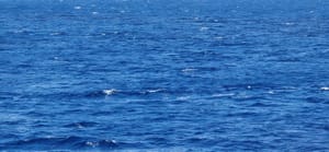 Svjetski je Dan mora i oceana: Znači li nam ovaj datum nešto?