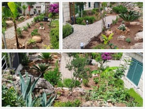 FOTO Pogledajte ovu okućnicu na Mljetu! Još traje natječaj za najljepšu na otoku