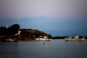 Problemi se nižu - Mediteran je na udaru gladi, pesticida i visokih cijena