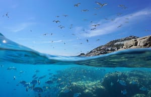 Hrvatsko more najčišće je more u Europi