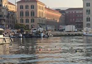 More ispred splitske rive krcato smećem: "Živimo od mora, a smeće se baca u more"
