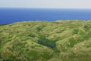 Ovaj je hrvatski otok bez gužvi i buke, a možete ga prešetati za nekoliko sati!