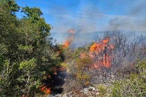 GORI U ISTRI Na terenu kanaderi i 40 vatrogasaca!