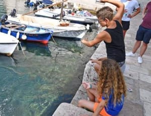 UMJESTO MOBITELA Mali dubrovački ribolovci osvajaju srca i love ribu!