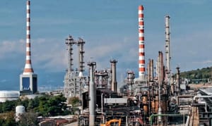 CURI IZ ININIH POGONA U KOSTRENI Jesmo li na pragu ekološke katastrofe na Kvarneru?