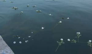 U povodu 29. godišnjice genocida u Srebrenici u more bačeno 29 ruža