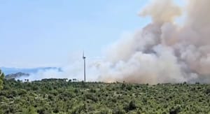 Požar na Pelješcu gasi 100 vatrogasaca i 4 kanadera: "Borimo se da ne prođe brdo jer ćemo biti u problemima"