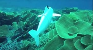 Robotska riba u jezeru u Švicarskoj - Plan je pustiti je u ocean