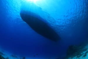 MORE I BUKA Dok još nismo stigli do točke neizdrživosti, poslušajmo struku!