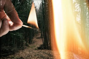 Uhićen muškarac kojeg policija dovodi u vezu s izazivanjem požara kod Klisa i Muća