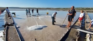 MISEC PAŠKE SOLI Drugačija manifesatacija u kojoj možete i sami sudjelovati