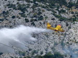 UGAŠEN POŽAR U ŽIVOGOŠĆU Vatrogasci: "Vjerojatno ga je uzrokovalo grmljavinsko nevrijeme i suho raslinje"